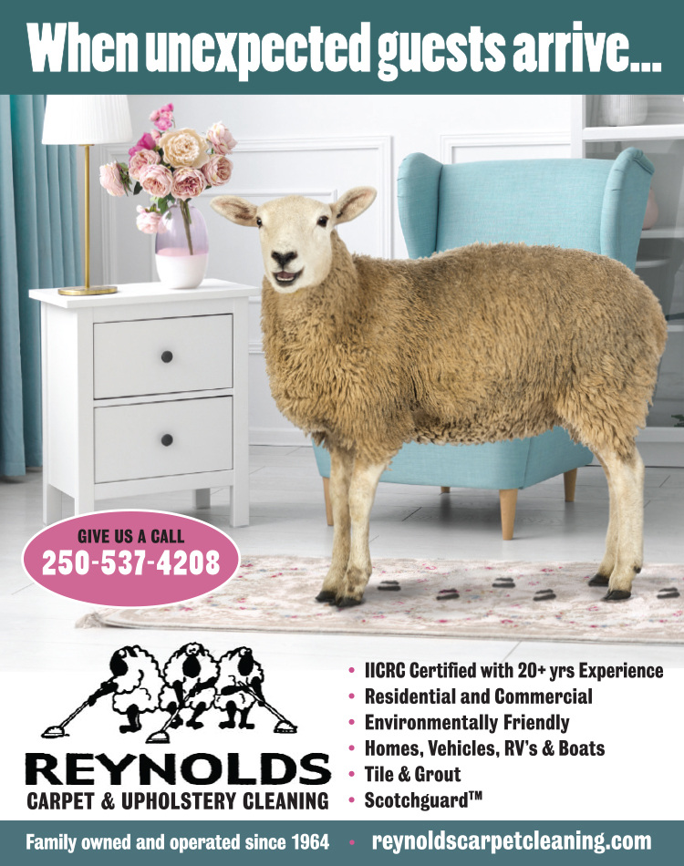 Salish Sea Real Estate Reynolds Carpet & Upholstery Cleaning  